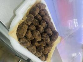 Продуктовый магазин «Заречный»
